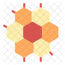 Honeycomb  Icon