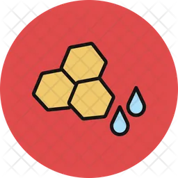 Honeycomb  Icon