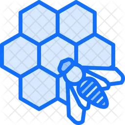 Honeycomb  Icon