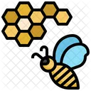 Honeycomb  Icon