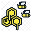 Honeycomb and bee  Icon