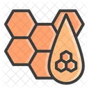 Honeycomb  Icon