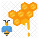 Honeycomb Honey Bee Icon