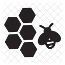 Honeycomb  Icon