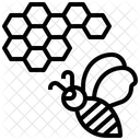 Honeycomb  Icon