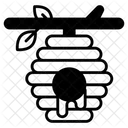 Honeycomb Beehive Bees Icon
