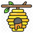 Honeycomb Beehive Bees Icon