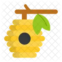 Bee Hive Honey Icon