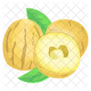 Honeydew Melon Icon