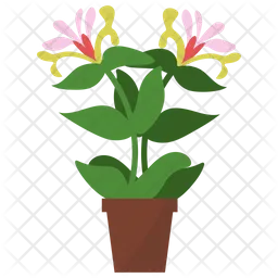 Honeysuckle Potted Plant  Icon