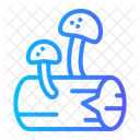 Seta Hongos Hongo Icono