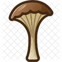 Seta Hongos Hongo Icono