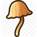 Seta Hongos Hongo Icono