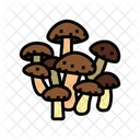 Seta Shiitake Shiitake Seta Icono