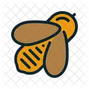 Biene Insekt Bienenhaus Symbol