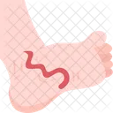 Hookworm Parasite Infection Icon