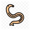 Hookworm Parasite Worm Icon