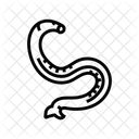 Hookworm Parasite Worm Icon