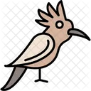 Hoopoe Hoopoe Bird Birds Symbol