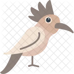 Hoopoe  Icon