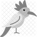 Hoopoe Hoopoe Bird Birds Icon