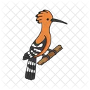 Hoopoe Bird Nature Icon