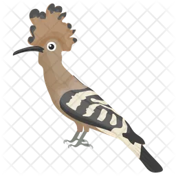 Hoopoe Bird  Icon
