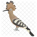 Hoopoe Bird Hudhud Egypt Hud Icon
