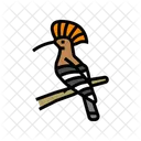 Hoopoe Bird  Icon