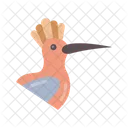 Hoopoe  Icon