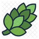 Hop Nature Plant Icon