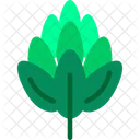 Hop Plant Nature Icon