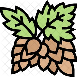 Hop Plant  Icon