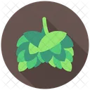 Hopfen Bier Brauen Symbol