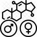 Hormone Male Female Icône