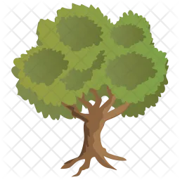 Horn beam Tree  Icon
