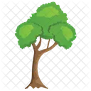 Horn beam Tree  Icon