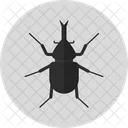 Horn Beetle Insect Bug Icon