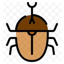 Horn beetle  Icon