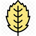 Hornbeam leaf  Icon