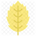 Hornbeam leaf  Icon