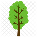 Tree Spreading Gardening Icon