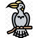 Hornbill Bird Beak Icon