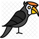 Hornbill Zoology Animal Icon