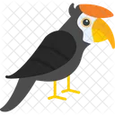 Hornbill Zoology Animal Icon