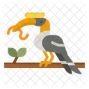 Hornbill Bird  Icon