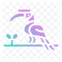 Hornbill Bird  Icon