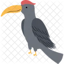 Hornbill  Icon