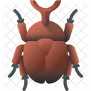 Beetle Insect Bug Icon