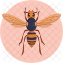 Insects And Bugs Hornet Insect Icon